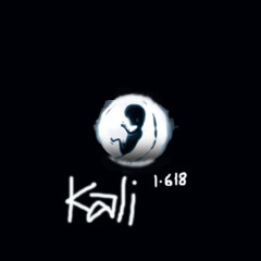 kali1.618