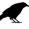 Ravenrook