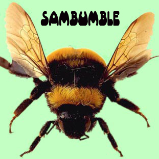 SamBumble - BHB