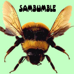 SamBumble - BHB