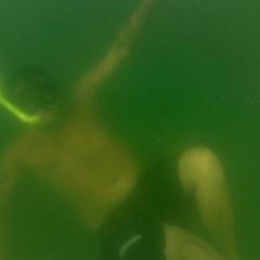 dillo13