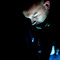 monty_mcmont