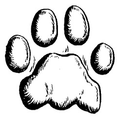 Paws