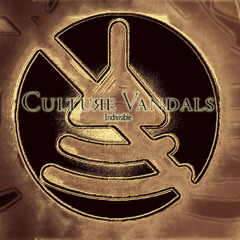 Culture Vandals
