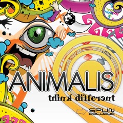 spuncd040