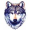 Holly_Hollance