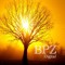 BPZ Digital