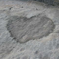 aurock1