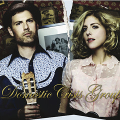 Domestic Crisis Group