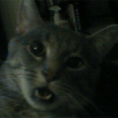 It's finished... I think