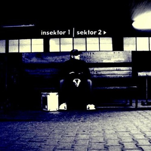 SoundCloud profile picture for @insect