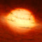 protostar