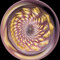 Nematocerous Music