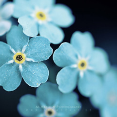 James Newton Howard - Flow Like Water The Last Airbender (End Credits)