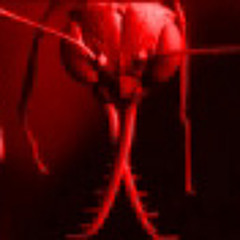 Red-Ant