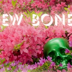 New Bones