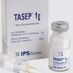 tasepdj