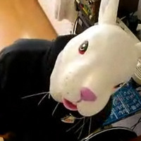 Soundcloud Hear The World S Sounds