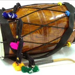 DHOLI