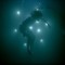 In Stasis
