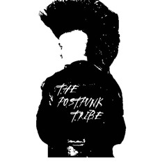 ThePunkPostPunkTribe