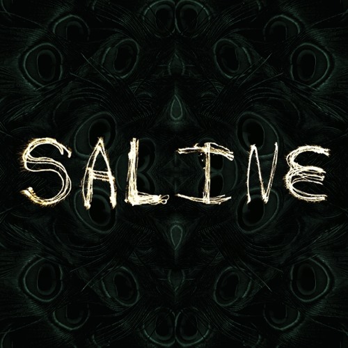 SoundCloud profile picture for @saline