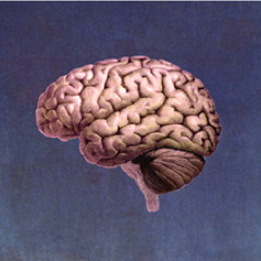 Spirit Elevating Brains