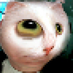 toonboy