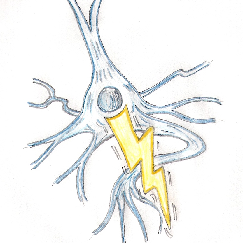 From Electro, House, Trap, Acid to da Pop and da Hop!