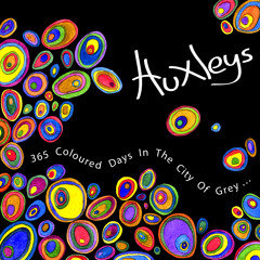 Holiday (Vampire Weekend Cover)