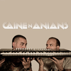 Caine N Anians