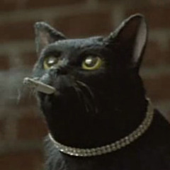 ALL THE PRETTY HORSES