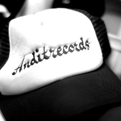 AnditRecords