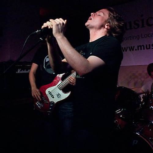 Ministry -Land Of Rape And Honey Remix