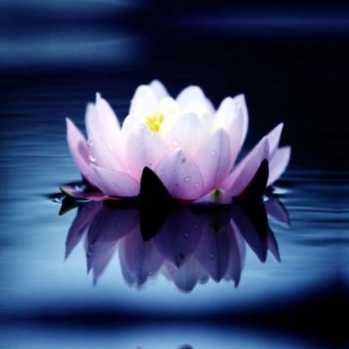 Audio Recording on Sunday morning