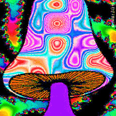 MaJic@L MuSHRooM D@zE