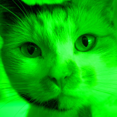 GreenCat