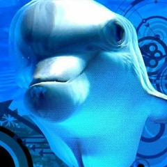 Project Code Acid Dolphin