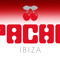PACHA