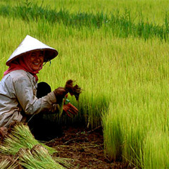 Yoshimitsu (feat. Frederik Olufsen)