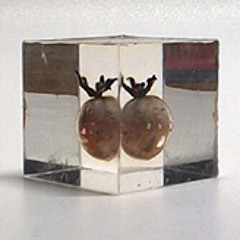 Pomodoro Bolzano