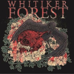 whitikerforest