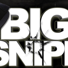 BigSnipe