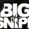 BigSnipe