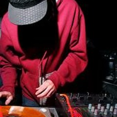 LDIGGA, Beats Antique, Gorilla Zoe  - Roustabout Bassnectar mix(loopdigga hoodnigga edit)