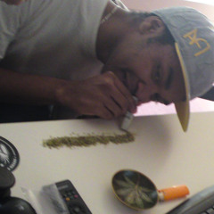 plantus van haze