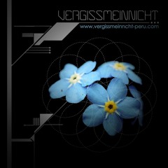 Vergissmeinnicht_Peru