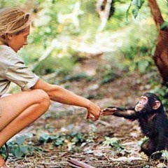 The Jane Goodalls