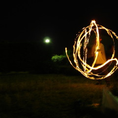 exal-T