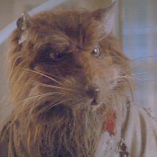 Sit Down Stand Up (Radiohead DnB remix)